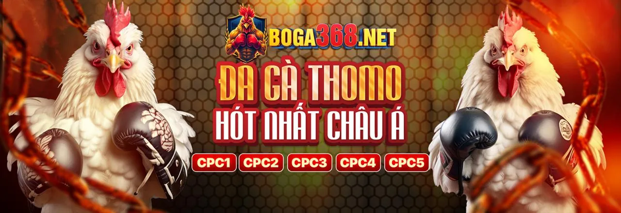 Tự Loại Trừ big88 win